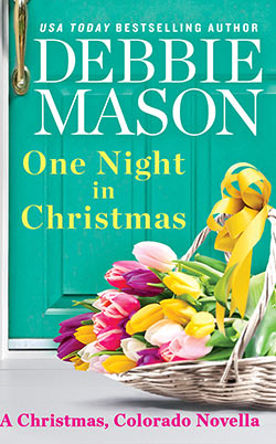 One Night in Christmas